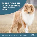 1skin.webp