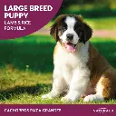 large1.webp