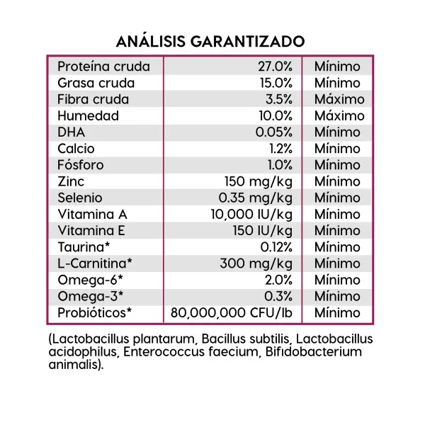 large.webp