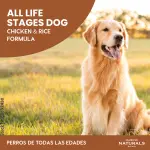 pollo1.webp