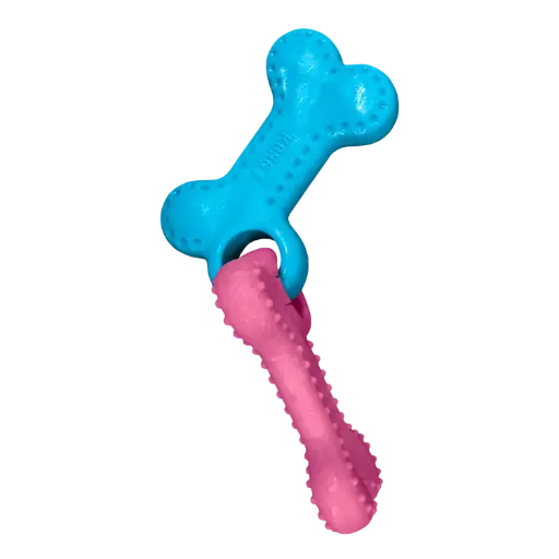 [KG/PSW16 363295] Kong puppy